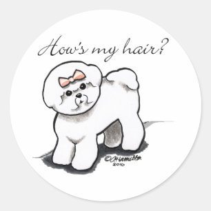 Sticker Rond Bichon Frise Habille Mes Cheveux