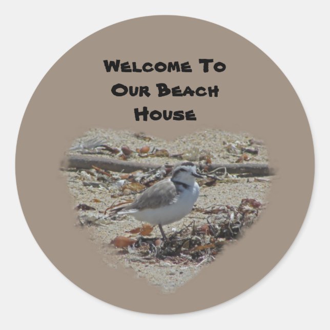 Sticker Rond Bienvenue À Beach Snowy Plover Photo Coast Bird (Devant)
