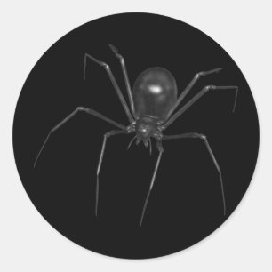 Sticker Rond Big Black Déplaisant 3D Spider