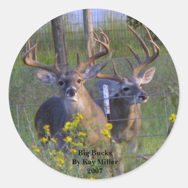 Sticker Rond Big BucksPar Kay Miller2007 (Devant)