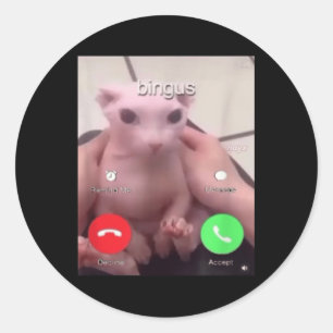 Sticker Rond Bingus Appelle Sphinx Sans Cheveux Chat Bingus Cha