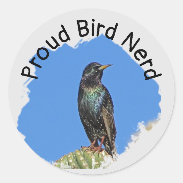 Sticker Rond Bird Nerd Joli Black Starling Cactus Birdwatcher (Devant)