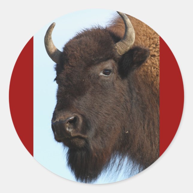 Sticker Rond bison (Devant)