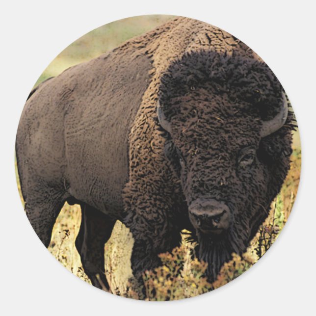 Sticker Rond Bison américain (Devant)