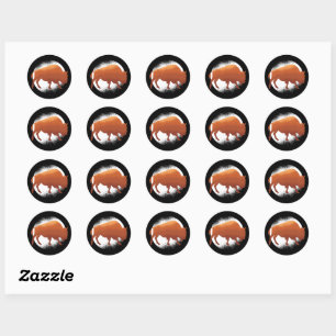 Sticker Rond Bison Mammifère National Américain Buffalo