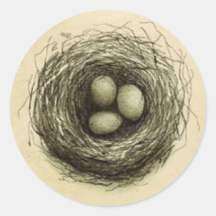 Sticker Rond Bitty Bird Nest