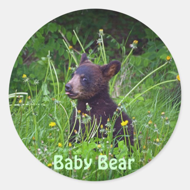 Sticker Rond Black Bear Cuisine Dandelions Photo (Devant)