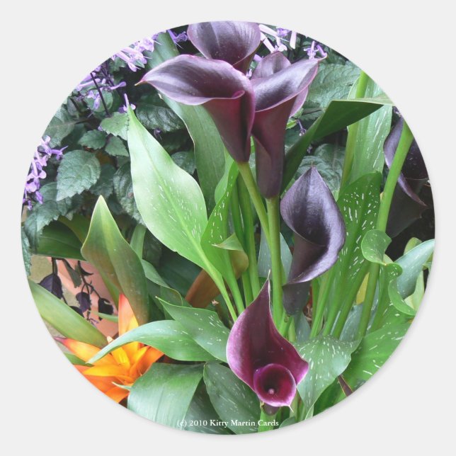 Sticker Rond Black Calla Lilies (Devant)