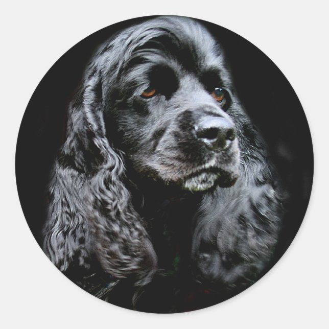 Sticker Rond Black Cocker Spaniel (Devant)