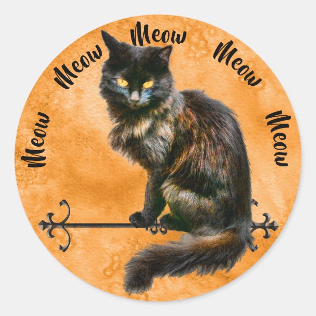 Sticker Rond Black Halloween chat animal de compagnie photo Ora (Devant)