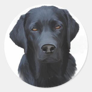 Sticker Rond Black Labrador Dog Water Couleur Art Peinture