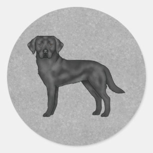 Sticker Rond Black Labrador Retriever Chien Cute Canine Grey