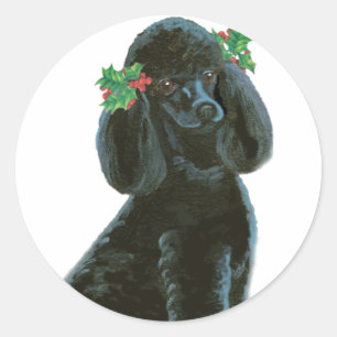 Sticker Rond Black Poodle Christmas Holly Art Cadeaux & Cartes