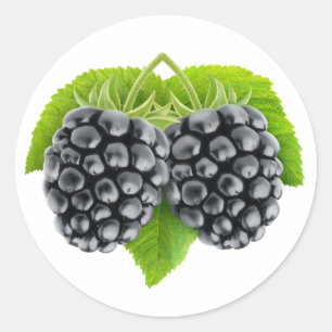 Sticker Rond Blackberries sur feuille