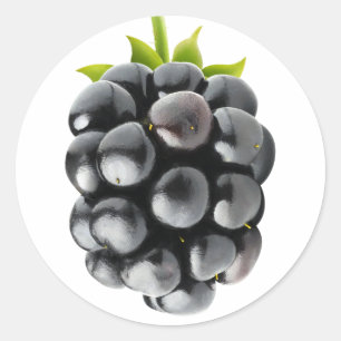 Sticker Rond Blackberry