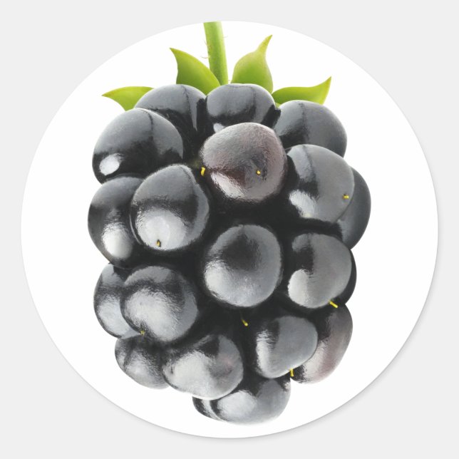 Sticker Rond Blackberry (Devant)