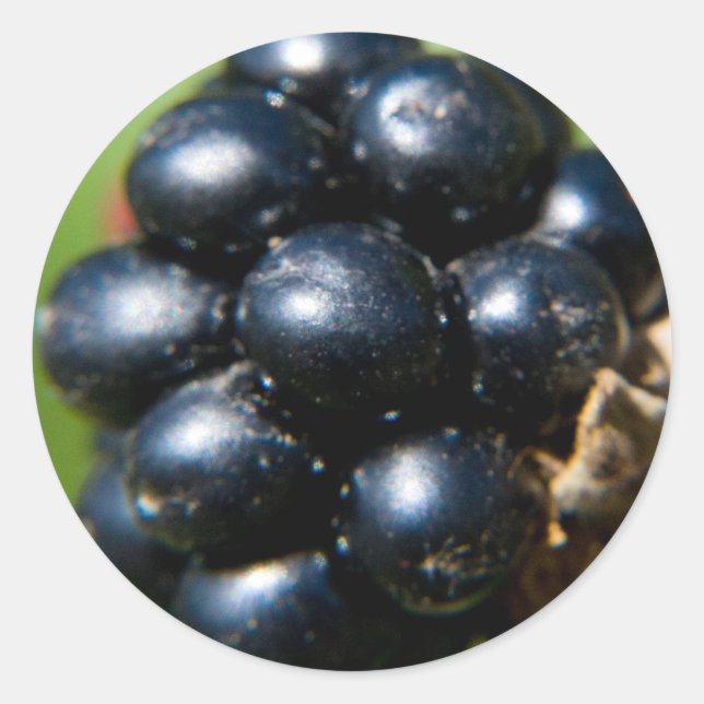 Sticker Rond Blackberry (Devant)