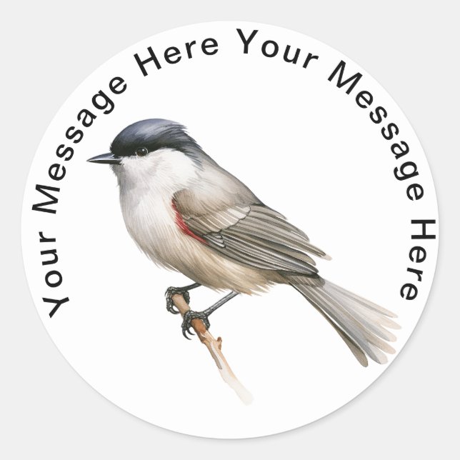 Sticker Rond Blackcap (Devant)
