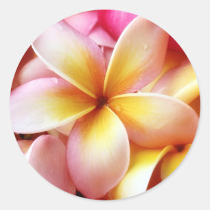 Sticker Rond Blanc customisé par fleur d'Hawaï de Frangipani
