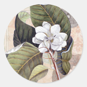 Sticker Rond Blanc Magnolia Blossom Vintage Botanique