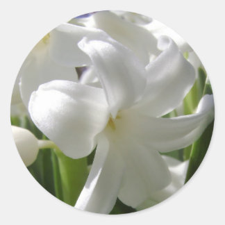Sticker Rond Blanc Pâques Lilly