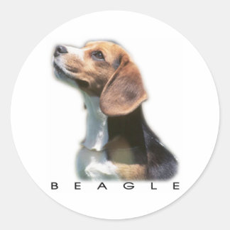 Sticker Rond Bleagle