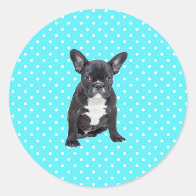 Sticker Rond Bleu Chien à Chien à Chien Bleu Pois mignon (Devant)