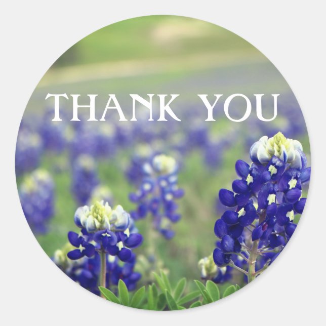 Sticker Rond Bleus Bleuets Fleurs Texas Floral  (Devant)