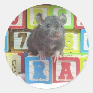 Sticker Rond bloc de rat