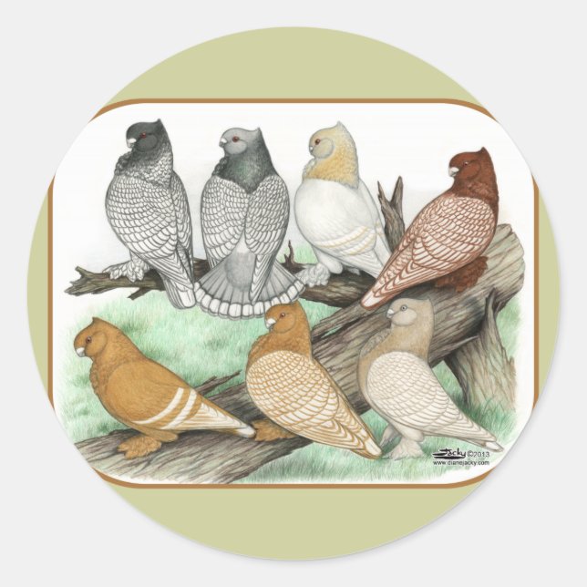 Sticker Rond Blondinettes de pigeons de frill classique (Devant)