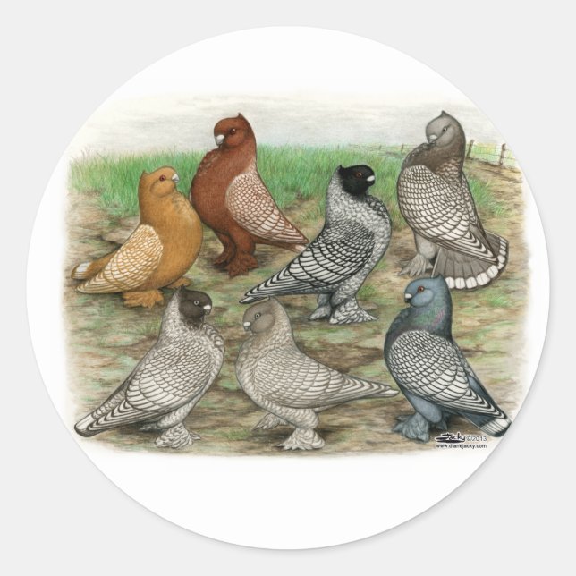 Sticker Rond Blondinettes Laced Pigeons de Frill Classique (Devant)