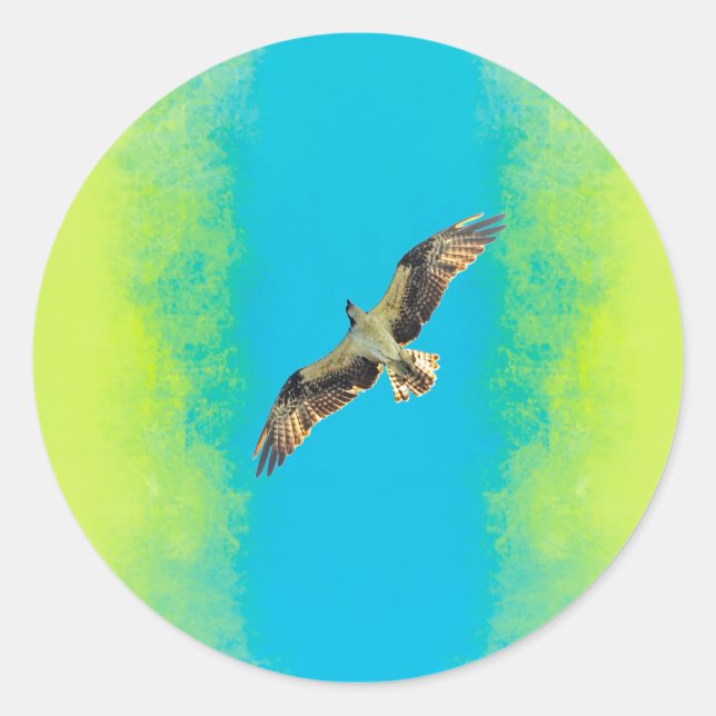 Sticker Rond Blue and yellow (Devant)