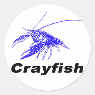 Sticker Rond blue crayfish