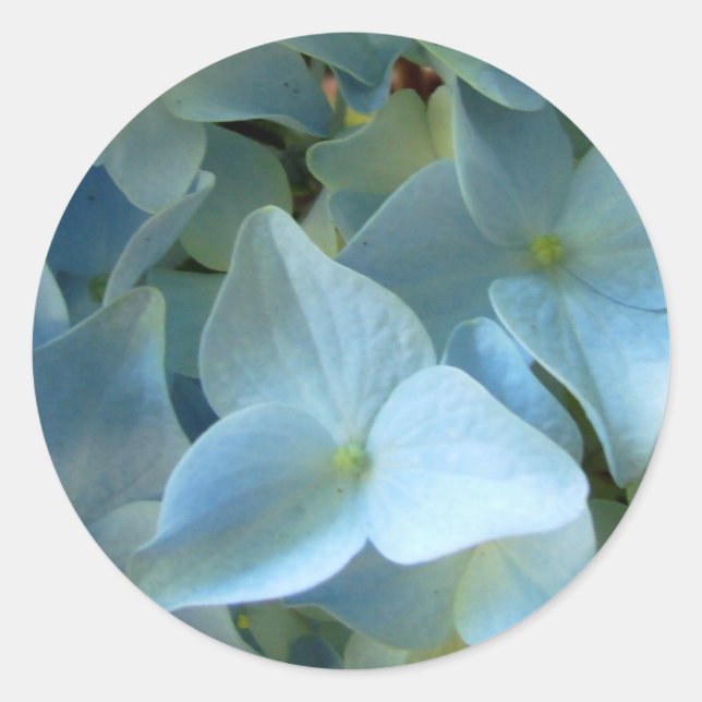 Sticker Rond Blue Hydrangea Fleurs Florales Photo (Devant)