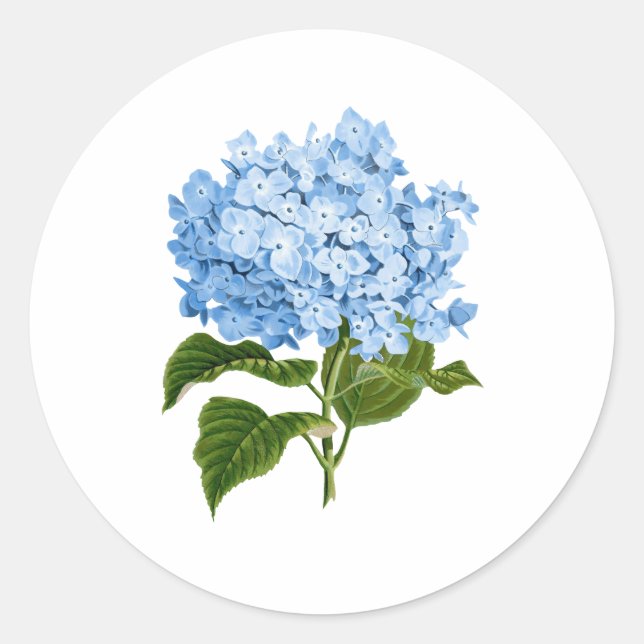 Sticker Rond Blue Hydrangea Grandmillennial (Devant)