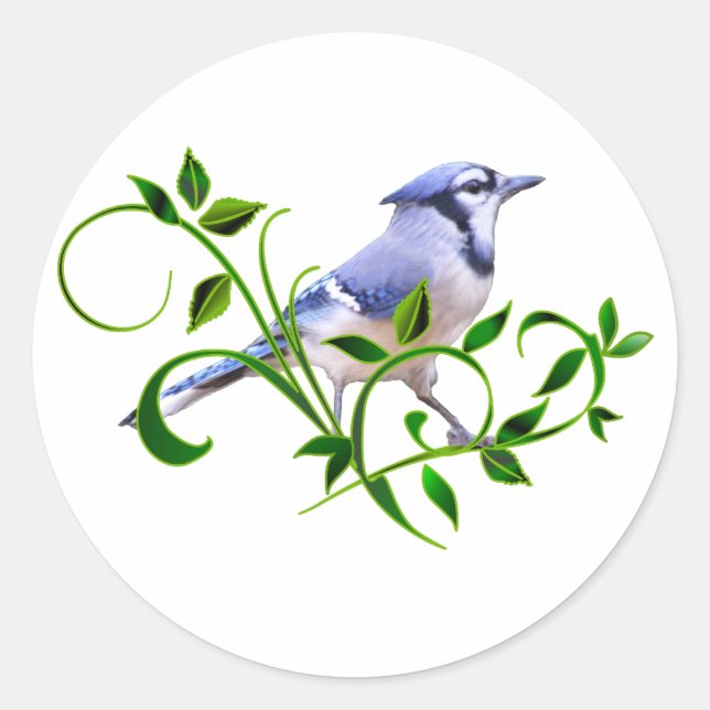 Sticker Rond Blue Jay (Devant)
