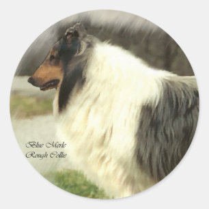 Sticker Rond Blue Merle Rough Collie Art Cadeaux