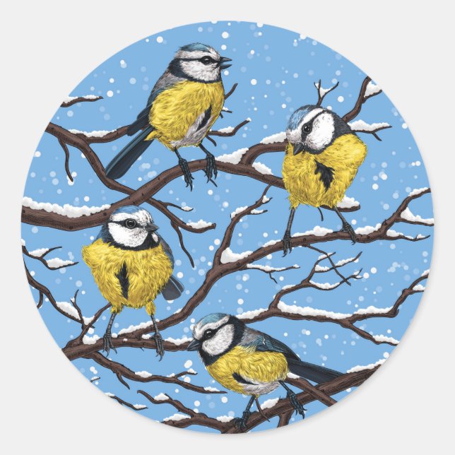 Sticker Rond Blue tit birds en hiver (Devant)