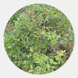 Sticker Rond Blueberry Bush