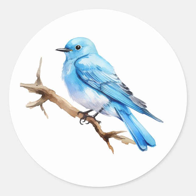 Sticker Rond Bluebird de montagne (Devant)
