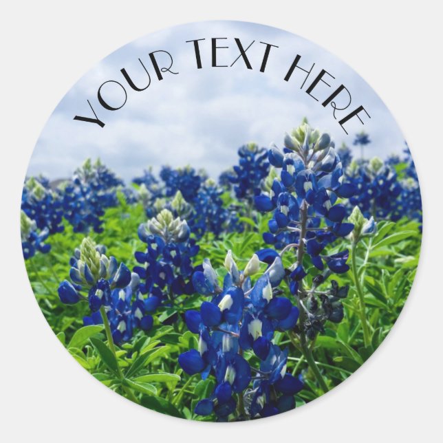 Sticker Rond Bluebonnet Blue Flower Texas texan Floral (Devant)