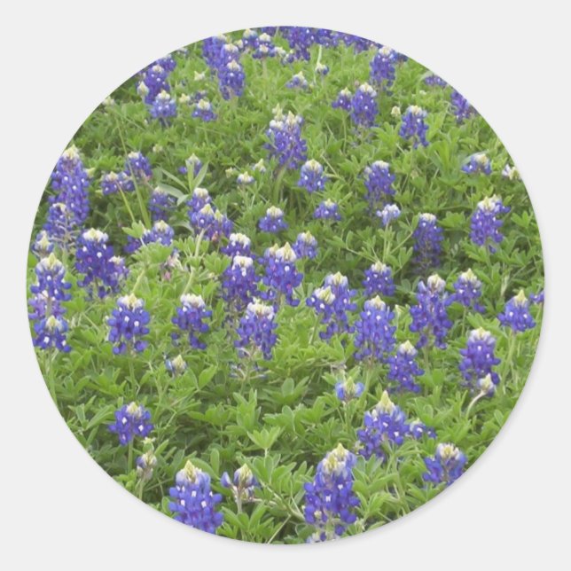 Sticker Rond Blues Power (Devant)