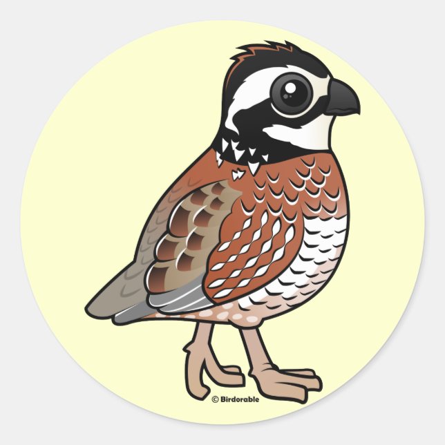 Sticker Rond Bobwhite (Devant)