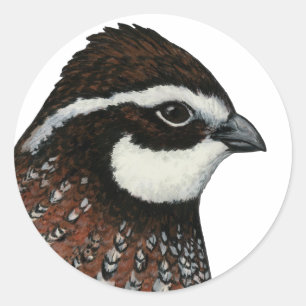 Sticker Rond Bobwhite Quail Head