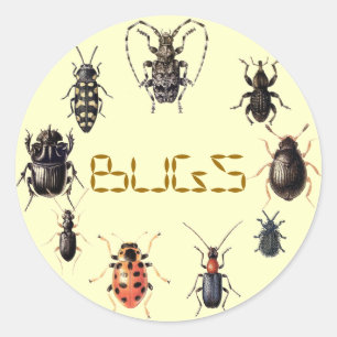 STICKER ROND BOGUES