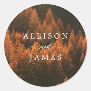 Sticker Rond Bois d'Automne Minimaliste