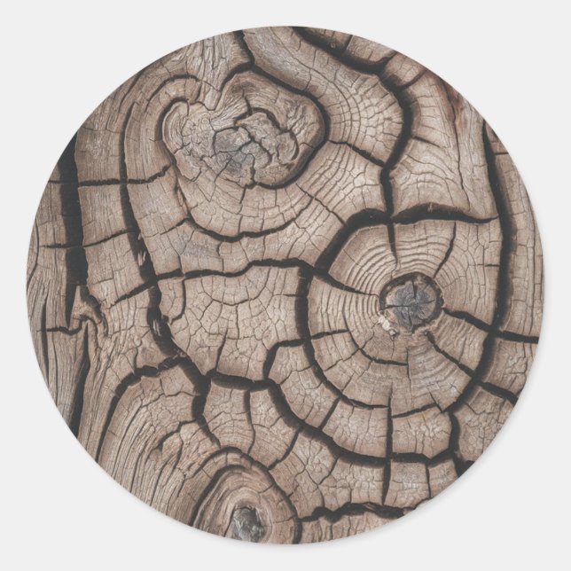 Sticker Rond Bois de mode billots d'arbre en bois (Devant)