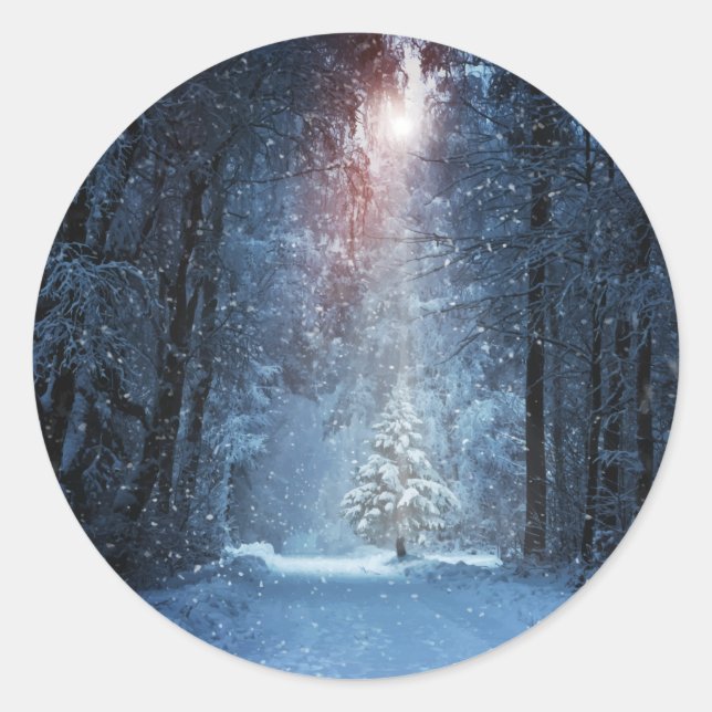 Sticker Rond Bois d'hiver (Devant)