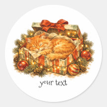 Boîte Cadeau Rétro de Noël avec un Chat Orange Dou