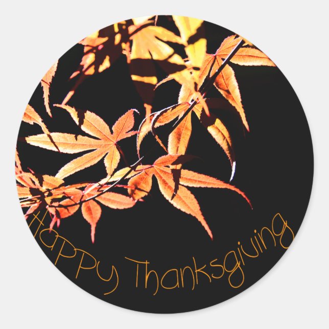 Sticker Rond Bon thanksgiving Maples Couleurs d'automne Round S (Devant)
